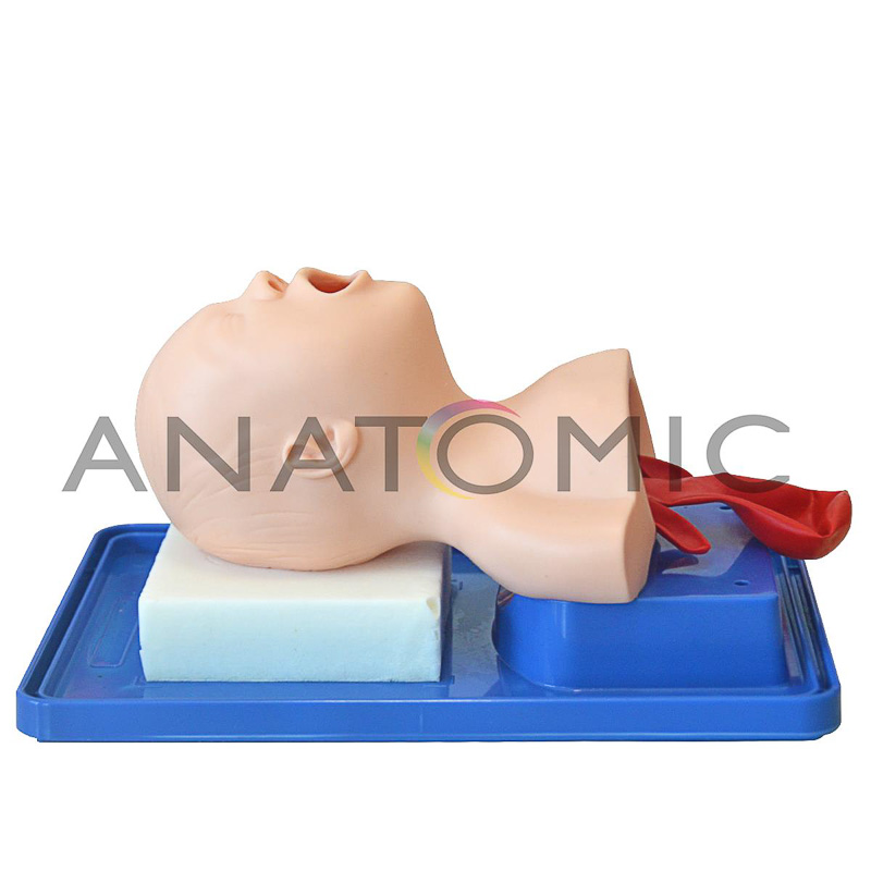 Simulador para Treino Intubação Bebê - ANATOMIC TGD-4007-B
