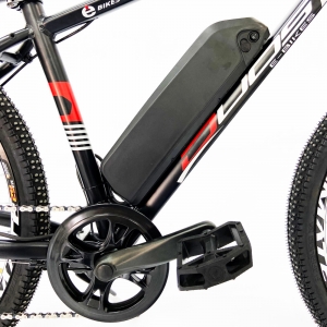 Bicicleta Elétrica Aro 29 350W Bateria Lítio 7V Shimano Rider Duos
