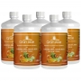 Suplemento de Vitamina C Sabor Babosa Aloe Vera Laranja, Mel e Geleia Real 1L Kit com 5 - Gran Aloe