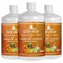 Suplemento de Vitamina C Sabor Babosa Aloe Vera Laranja, Mel e Geleia Real 500ml Kit com 3 - Gran Aloe