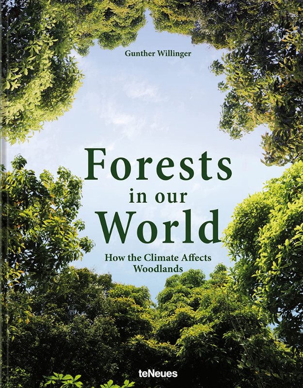 FORESTS IN OUR WORLD: HOW THE CLIMATE AFFECTS WOOLANDS