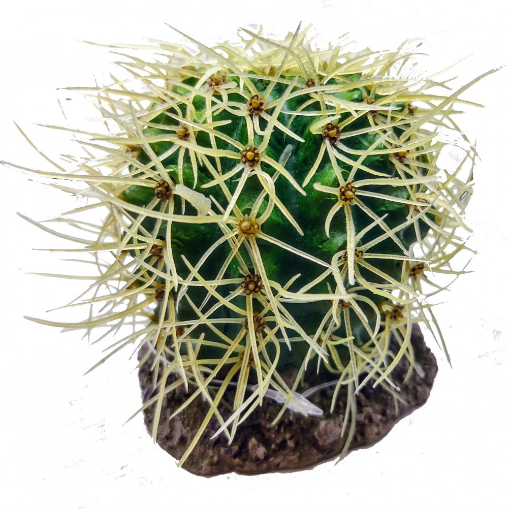 Soma Enfeite De Resina Para Aquário Cactus