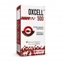 Oxcell 500 - 30 Capsulas Avert