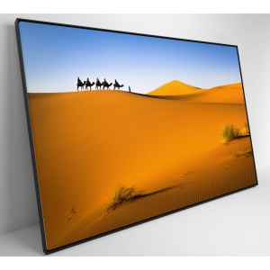 Quadro Camelos Deserto Saara