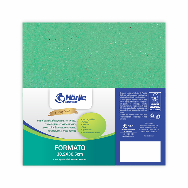 Cartão Color Face - Verde Claro - Pacote 10un