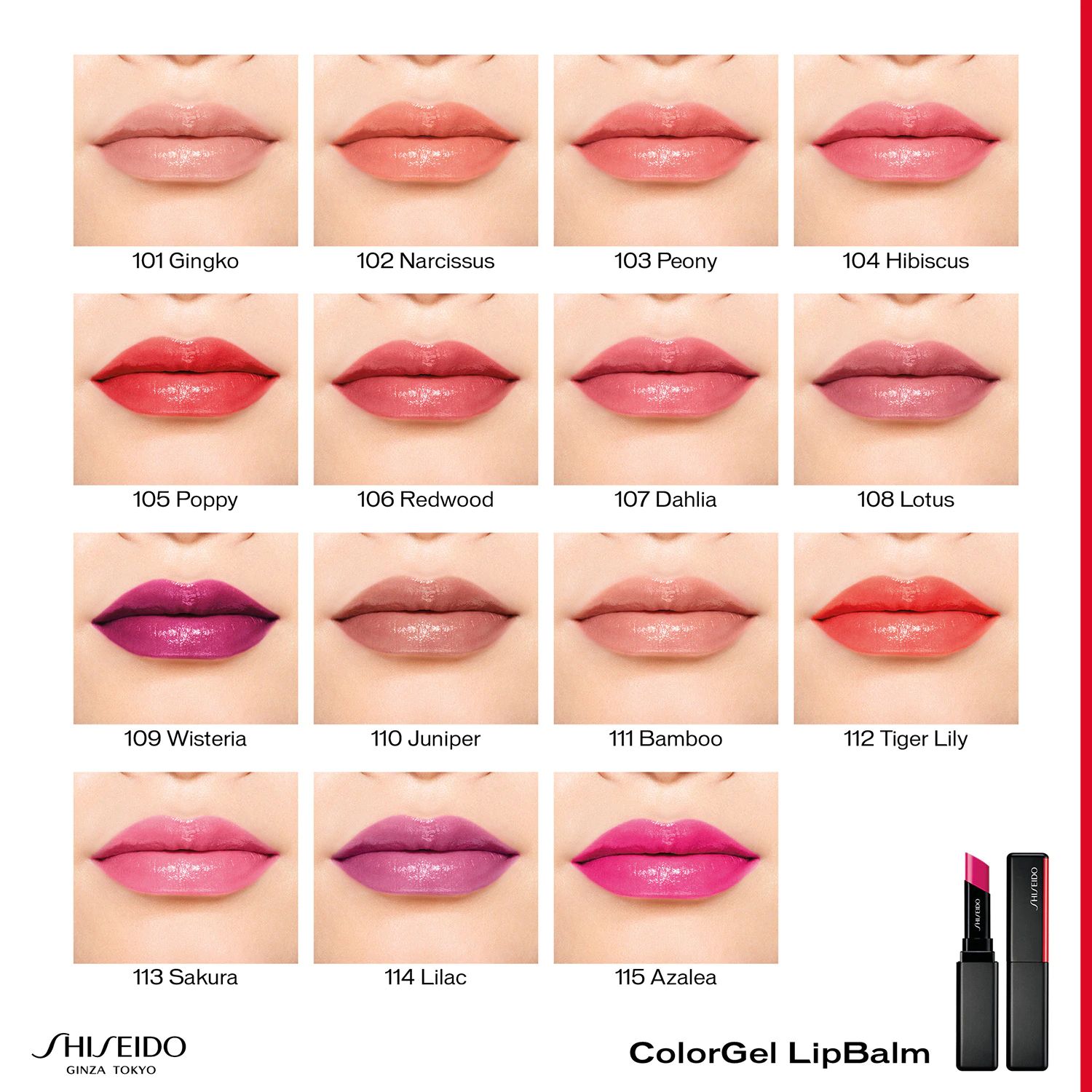Shiseido  Colorgel  Lipbalm  106 Redwood 