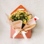 Presente Caixa Envelope com Flor Plantada e Chocolates Ferrero