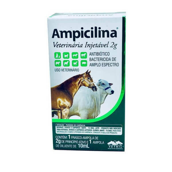 Ampicilina Veterinária Injetável 2 g Vetnil