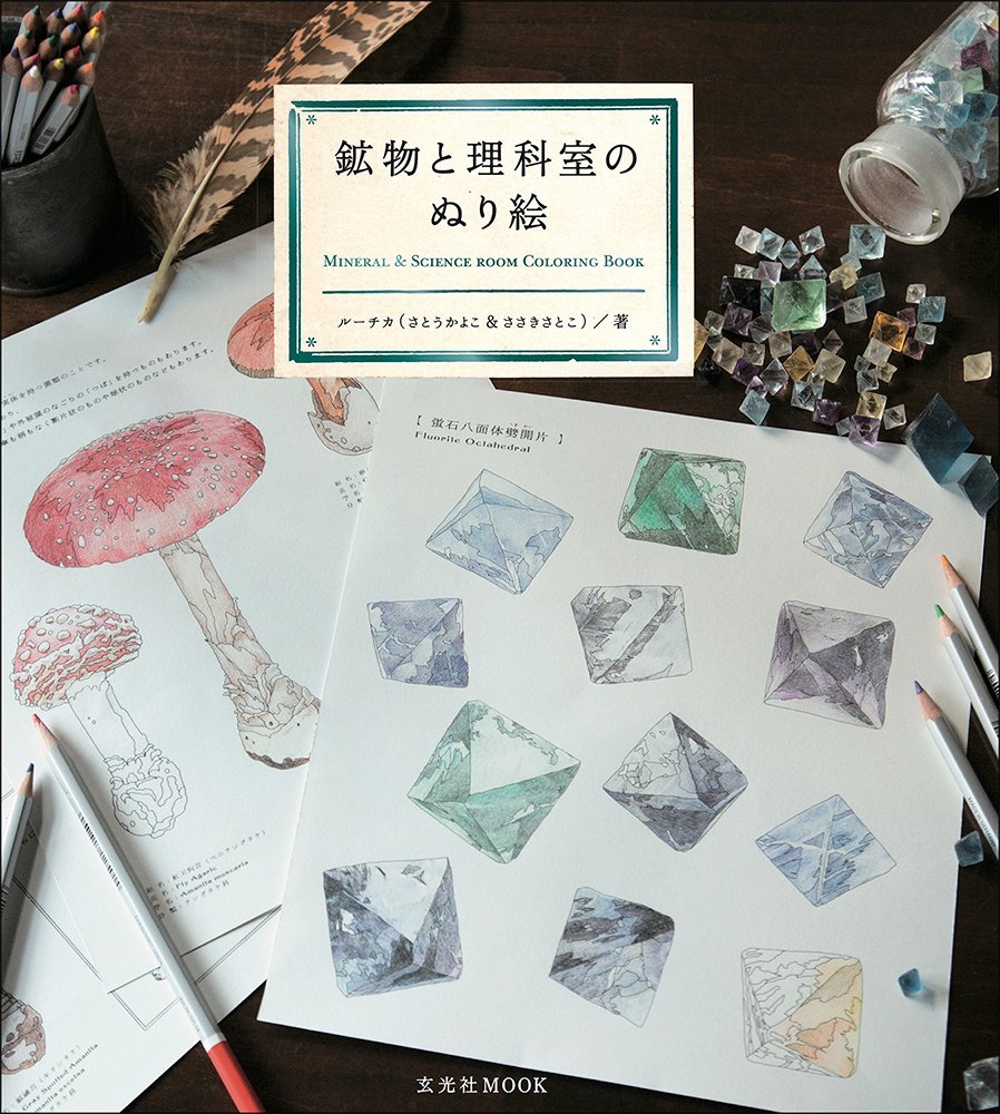 Livro de Colorir Mineral & Science Romm coloring Book