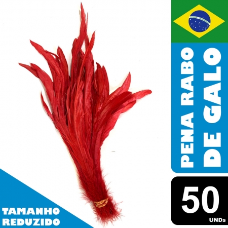 Pena Rabo de Galo Colorido Artesanato Carnaval 10-30cm 036