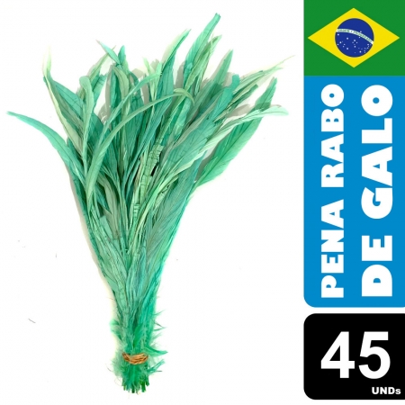 Pena Rabo de Galo Colorido Artesanato Carnaval 30-40 cm 013
