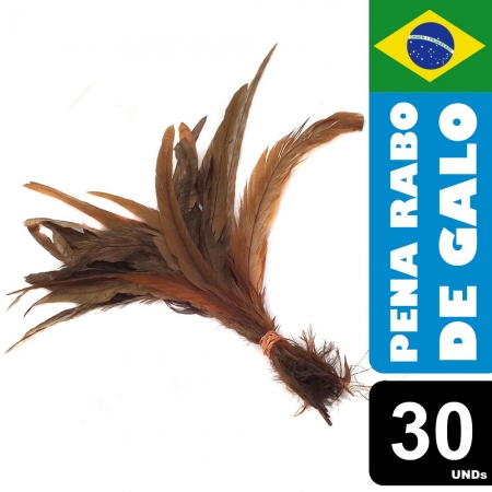 Pena Rabo de Galo Colorido Artesanato Carnaval 30-40 cm 023