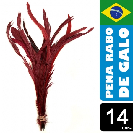 Pena Rabo de Galo Colorido Artesanato Carnaval 30-40 cm 025