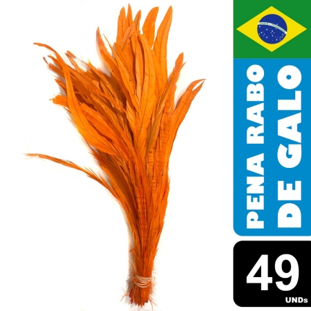 Pena Rabo de Galo Colorido Artesanato Carnaval 30-40 cm 027