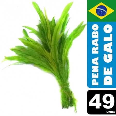 Pena Rabo de Galo Colorido Artesanato Carnaval 30-40 cm 045