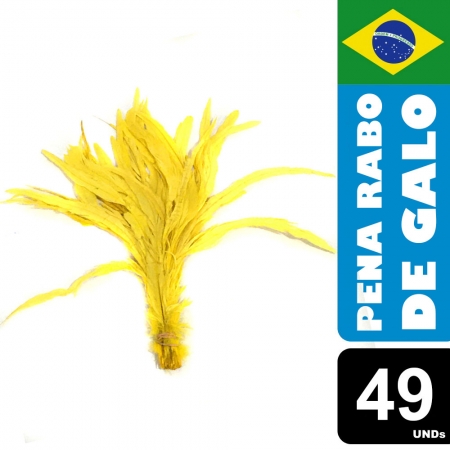 Pena Rabo de Galo Colorido Artesanato Carnaval 30-40 cm 050