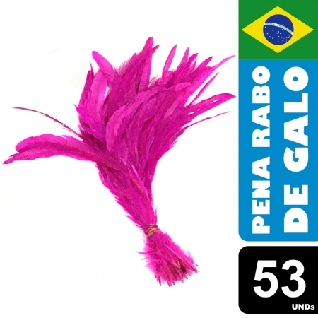 Pena Rabo de Galo Colorido Artesanato Carnaval 30-40 cm 053
