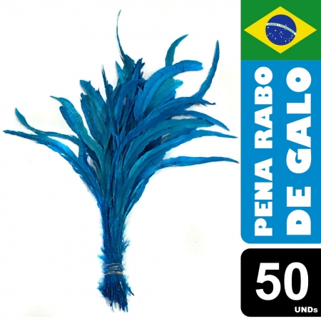 Pena Rabo de Galo Colorido Artesanato Carnaval 30-40 cm 061
