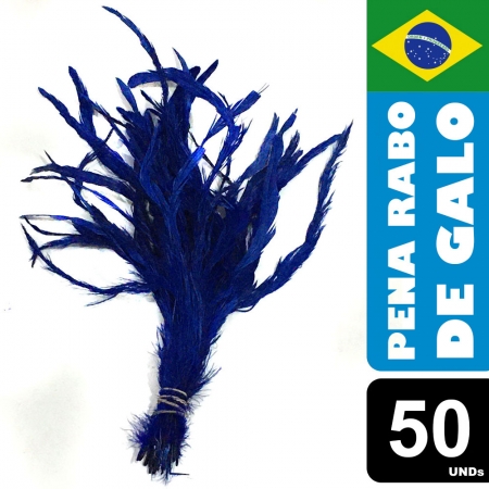 Pena Rabo de Galo Colorido Artesanato Carnaval 30-40 cm 063