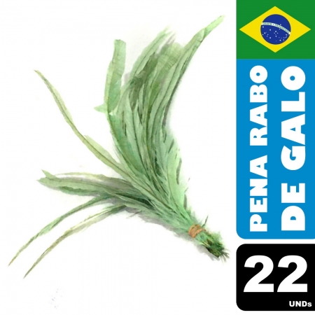 Pena Rabo de Galo Colorido Artesanato Carnaval 30-40 cm 073