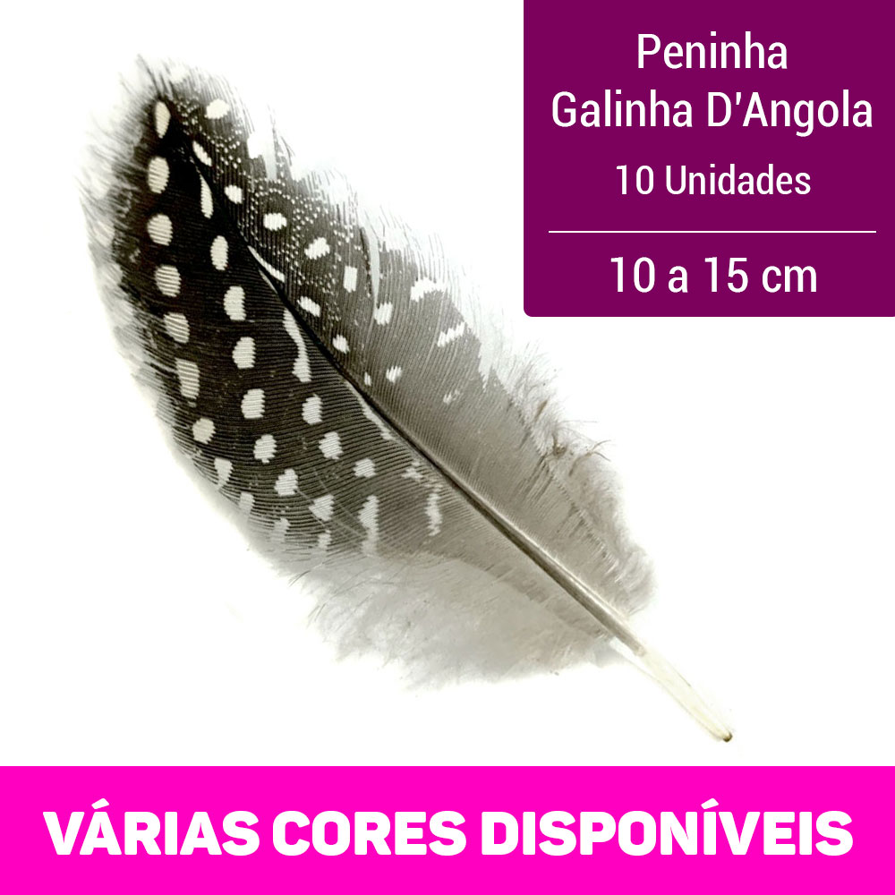 Pena de Galinha D'Angola Natural 10 a 15 cm - 10 Unidades