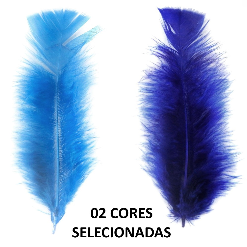 Pena de Galinha Kit 2 Cores Penas Coloridas 200 Und Arte