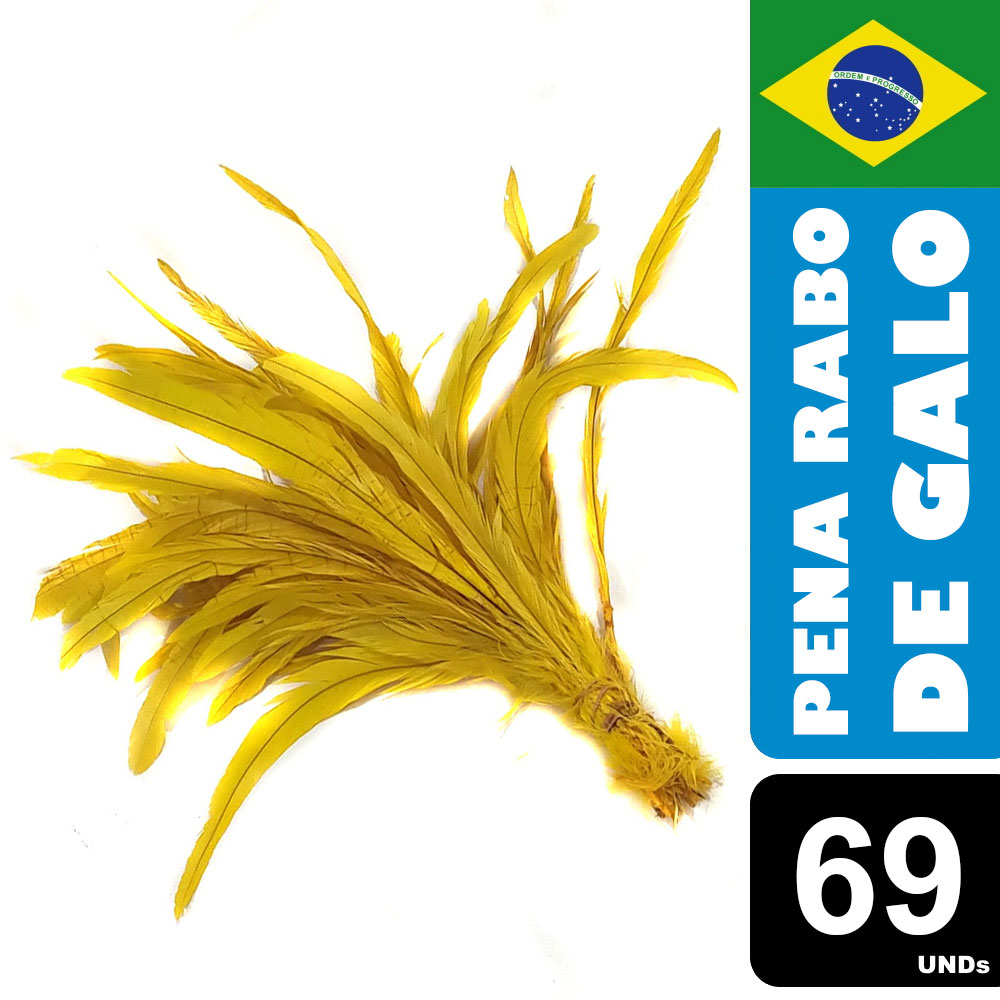Pena Rabo de Galo Colorido Artesanato Carnaval 30-40 cm 058