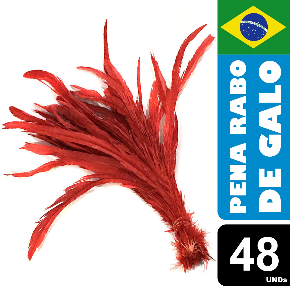 Pena Rabo de Galo Colorido Artesanato Carnaval 30-40 cm 064