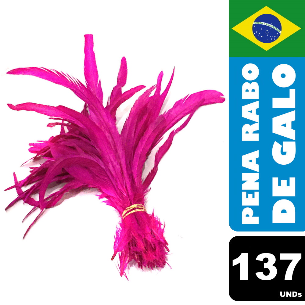 Pena Rabo de Galo Colorido Artesanato Carnaval 30-40 cm 081