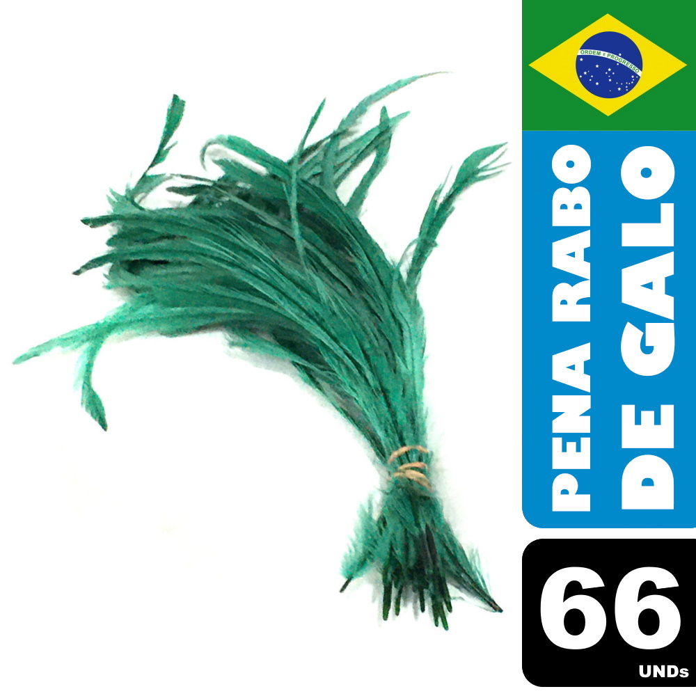 Pena Rabo de Galo Colorido Artesanato Carnaval 30-40 cm 091