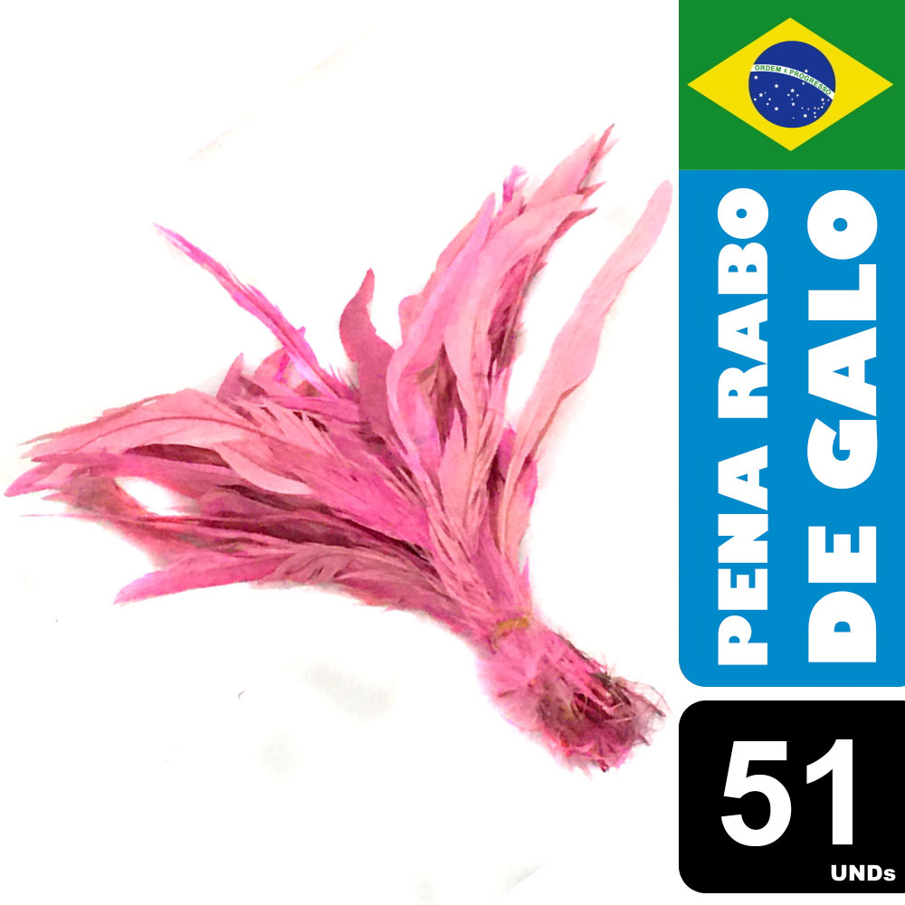 Pena Rabo de Galo Colorido Artesanato Carnaval 30-40 cm 098