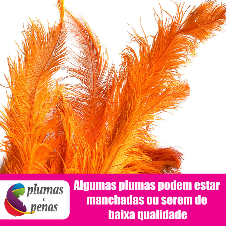 Plumas de Avestruz Chorona Festa Carnaval Pronta Entrega 011