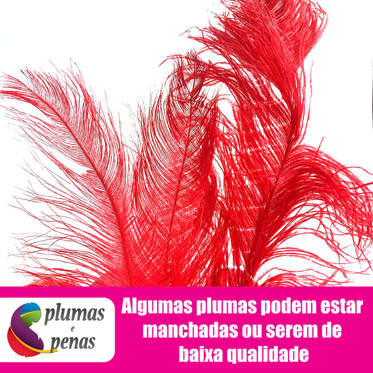 Plumas de Avestruz Chorona Festa Carnaval Pronta Entrega 015