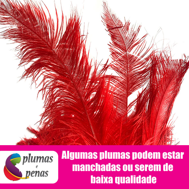 Plumas de Avestruz Chorona Festa Carnaval Pronta Entrega 016