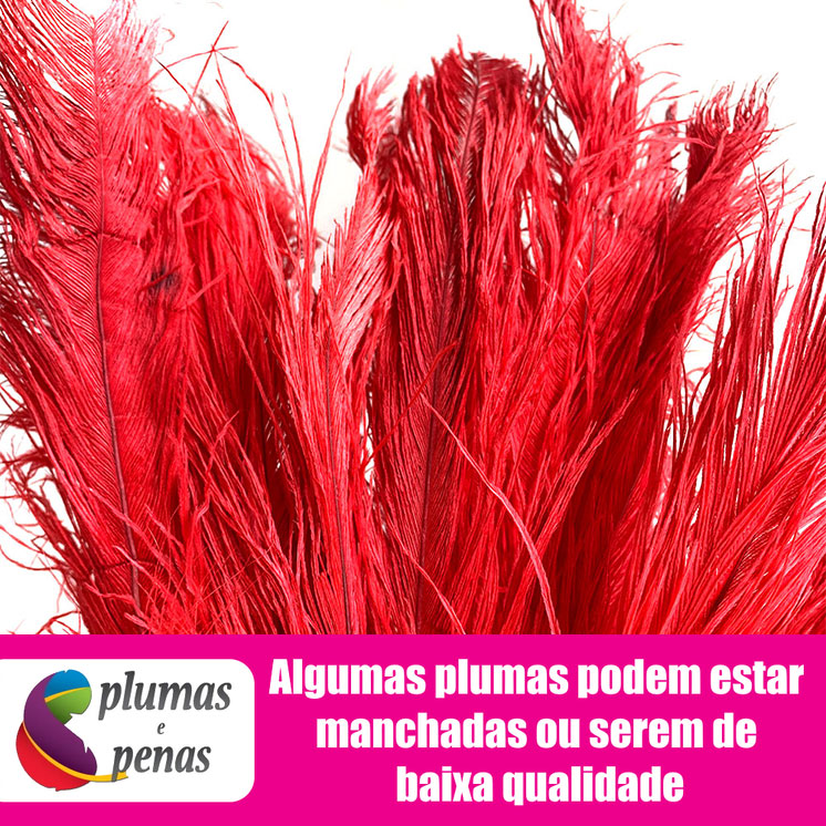 Plumas de Avestruz Chorona Festa Carnaval Pronta Entrega 023