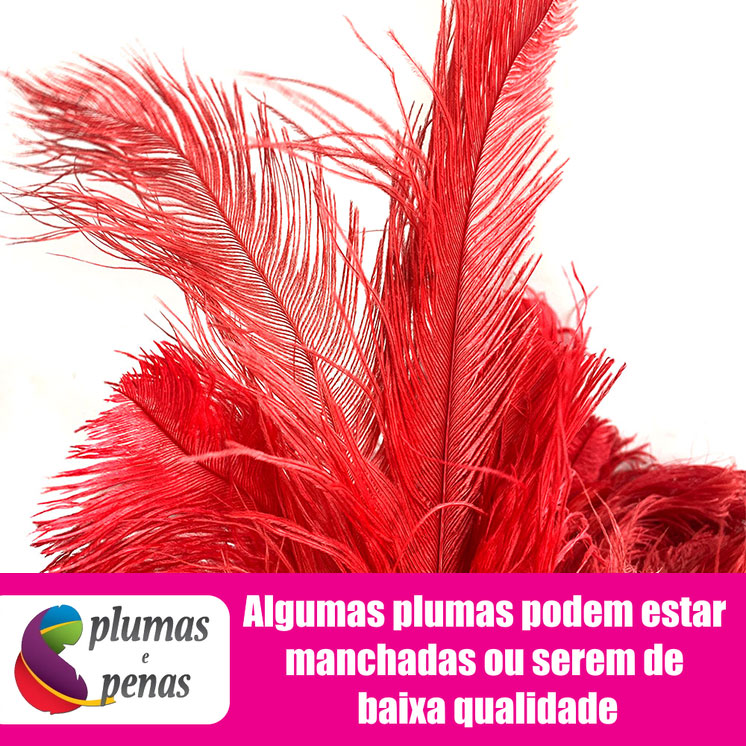 Plumas de Avestruz Chorona Festa Carnaval Pronta Entrega 025