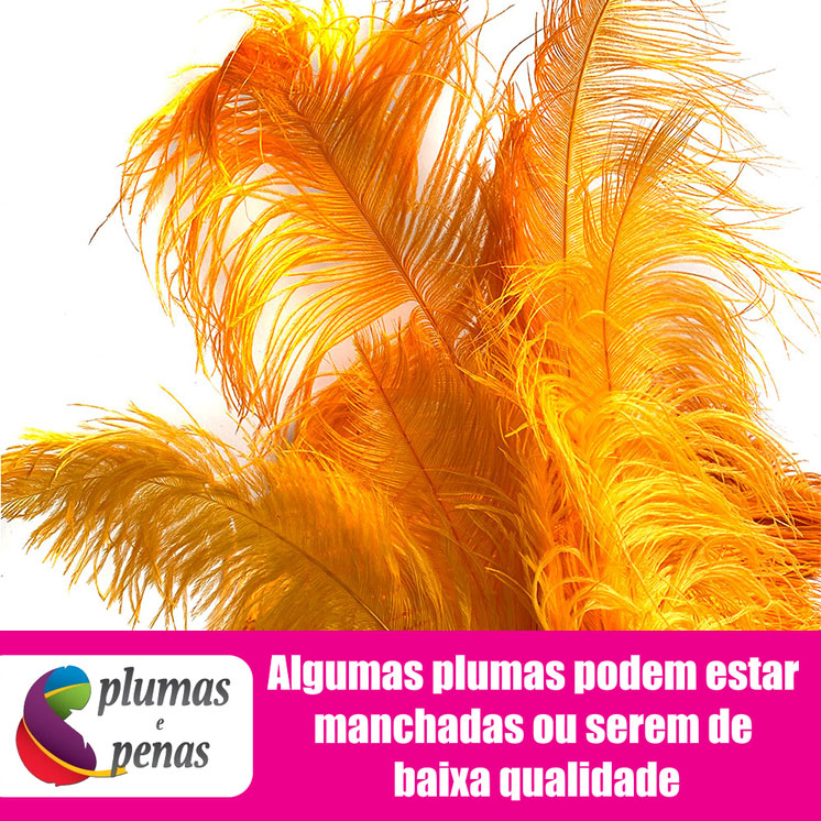 Plumas de Avestruz Chorona Festa Carnaval Pronta Entrega 047