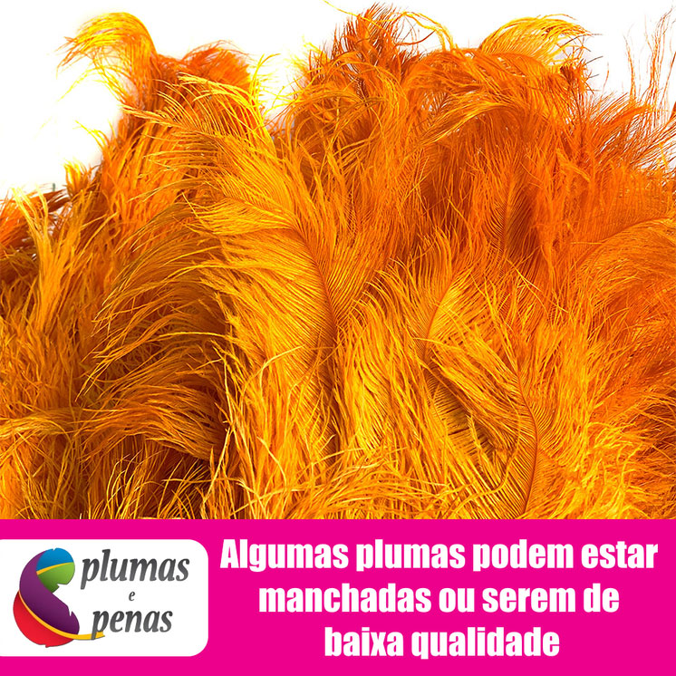 Plumas de Avestruz Chorona Festa Carnaval Pronta Entrega 050