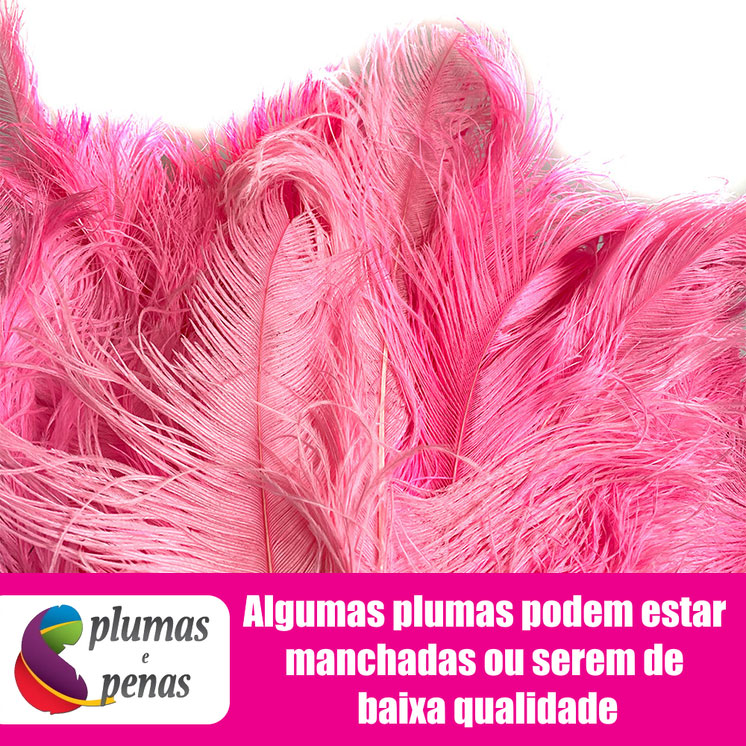 Plumas de Avestruz Chorona Festa Carnaval Pronta Entrega 053