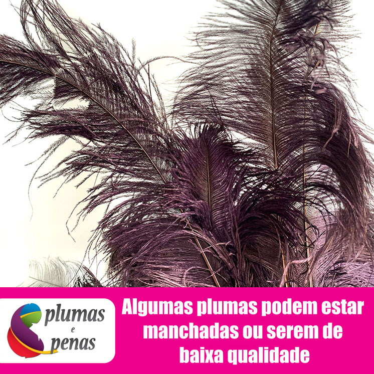 Plumas de Avestruz Chorona Festa Carnaval Pronta Entrega 054