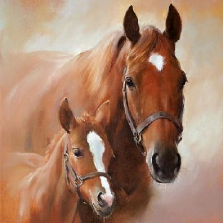 Pct. De Guardanapos 20 Un. Ref.13307350- Horse With Foal - Cavalo