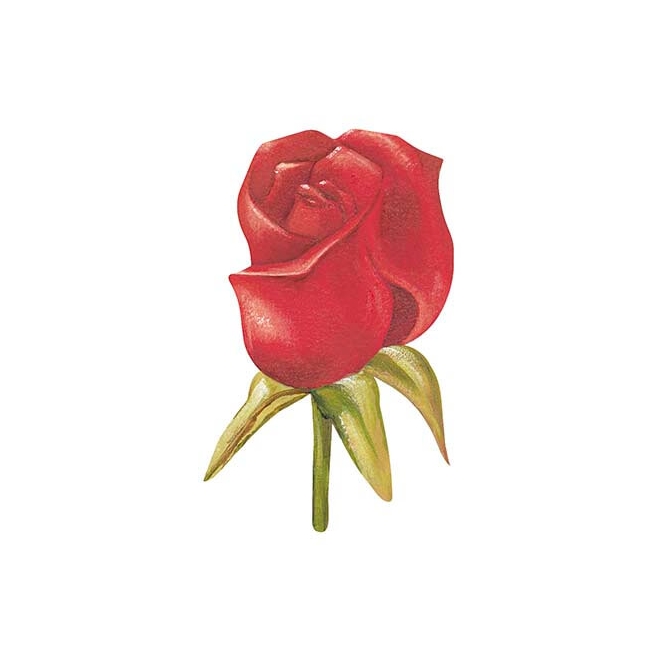 Aplique Litoarte Ref. APM8-982 - Rosa Vermelha (8cm)