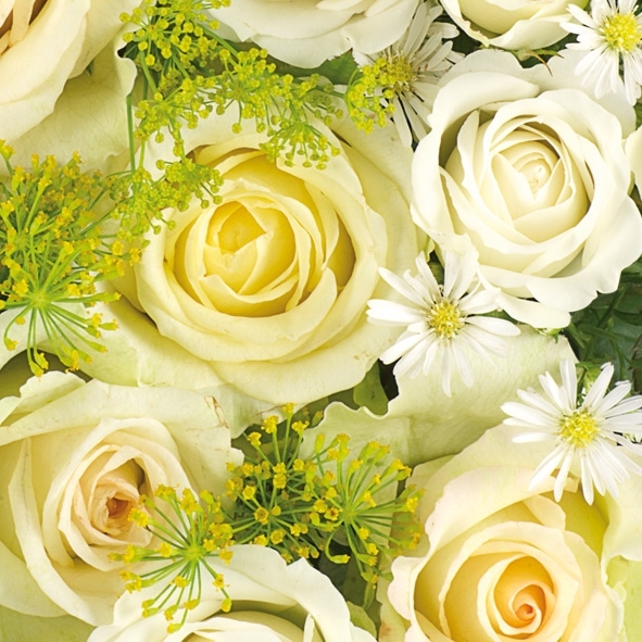 Pct. De Guardanapos 20 Un. Ref. 13305555 - Wedding Roses